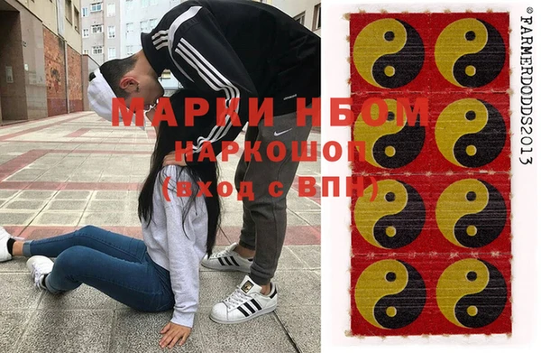 сатива Абинск