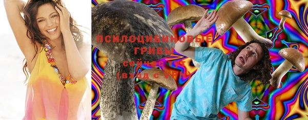 сатива Абинск
