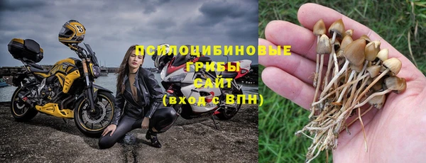 a pvp Лиски