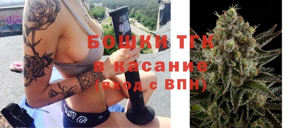 сатива Абинск