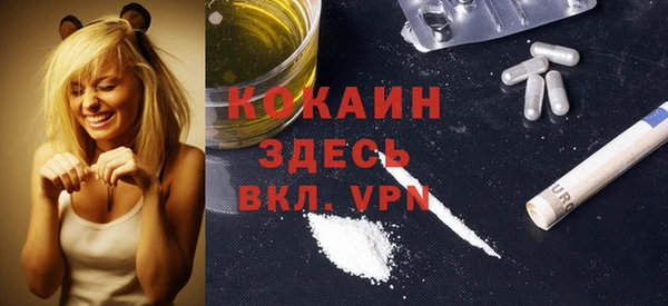 гидра Абаза