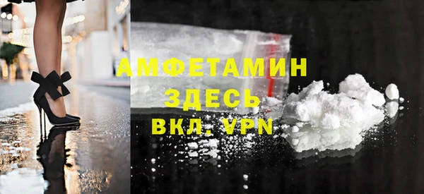 гидра Абаза