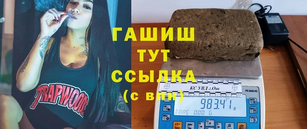 гидра Абаза