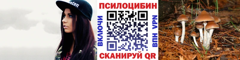 Псилоцибиновые грибы мицелий  KRAKEN зеркало  Алейск  даркнет сайт 