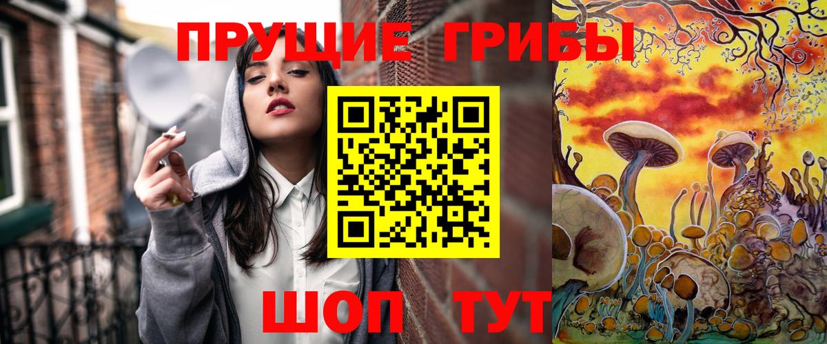 Псилоцибиновые грибы мицелий Алейск