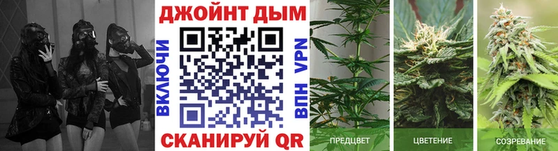 Марихуана Bruce Banner  Алейск 